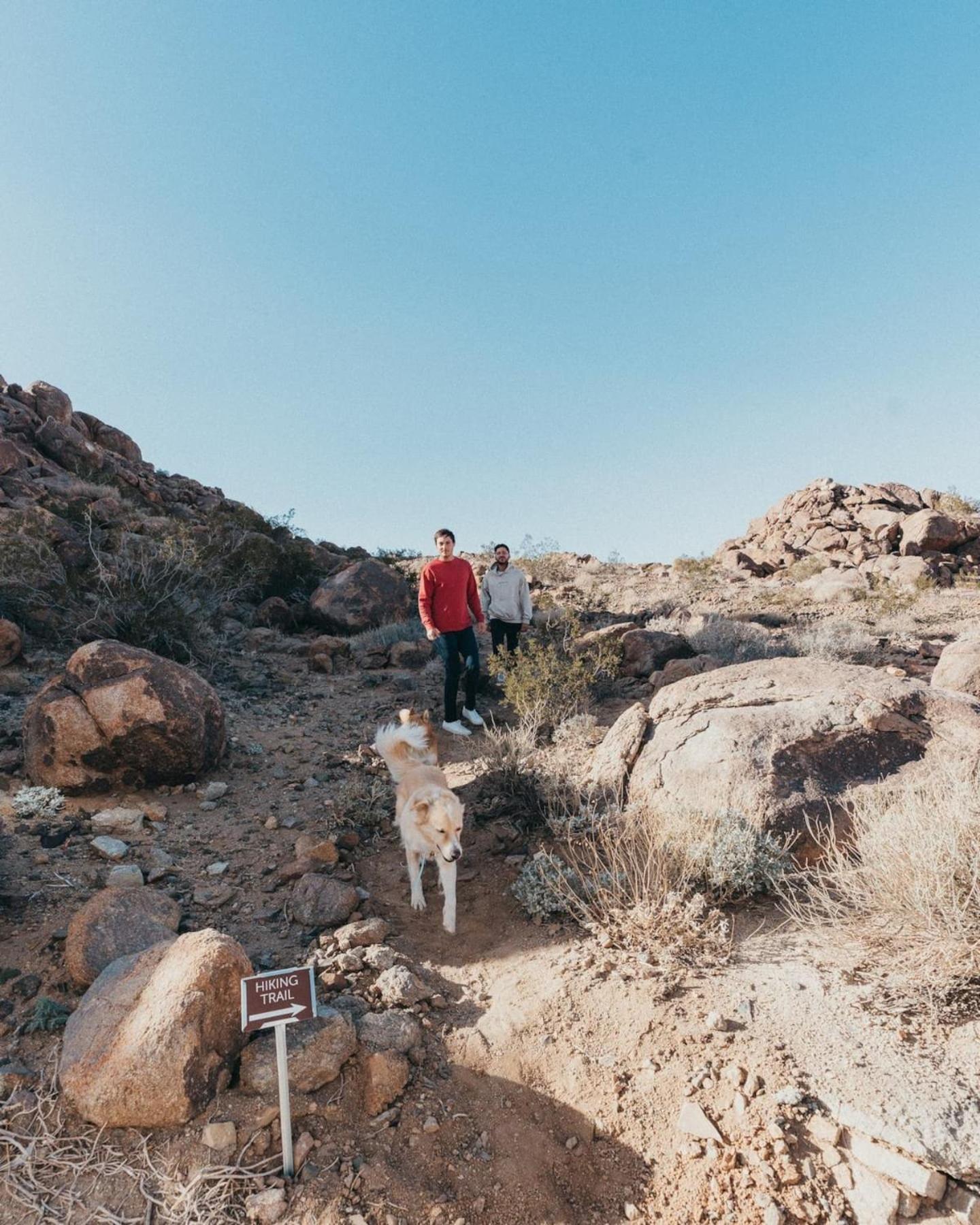 Prism By The Cohost Company Villa Joshua Tree Bagian luar foto